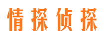 巴中寻人公司